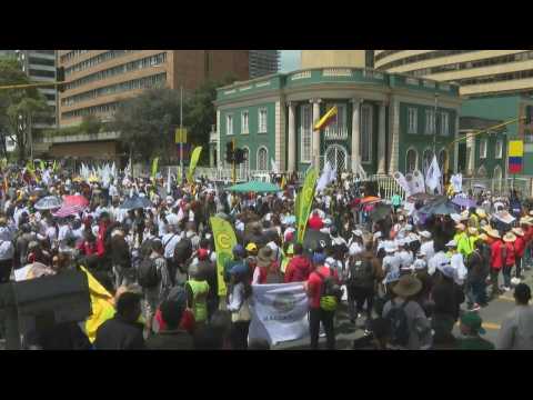 Thousands march in Colombian capital to support government's social reforms