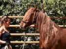 , Maéva Munier a récupéré deux chevaux sauvages américains au sein du centre équestre des 3 Fers. Et a bénéficié d'un élan de solidarité pour acquérir l'un d'eux.