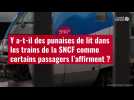 VIDÉO. Y a-t-il des punaises de lit dans les trains de la SNCF comme certains passagers l'affirment ?