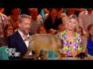 Zapping du 25/09 : un chien perturbe le talk-show de Léa Salamé