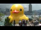 Le canard géant, symbole de paix, de retour dans la baie de Hong Kong