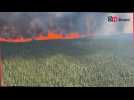 Canada: images aériennes des feux de forêt en Colombie-Britannique