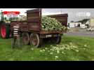 VIDÉO. 70 tonnes d'artichauts déversées sur la route près de Lannion pour dénoncer les prix faibles