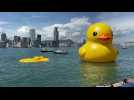 Hong Kong: one of two giant rubber ducks deflates in Victoria Harbour