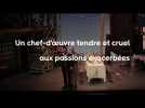 Teaser L'Élixir d'amour
