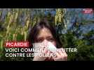 Comment bien lutter contre les pollens ?