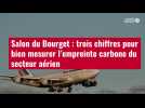 VIDÉO. Salon du Bourget : trois chiffres pour bien mesurer l'empreinte carbone du secteur aérien