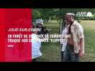 VIDEO. En forêt de Vioreau, 60 zombies 