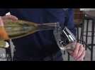 La première cuvée des Hauts-de-France