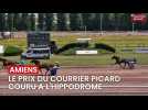 Le Prix du Courrier picard couru sur la piste de l'hippodrome d'Amiens