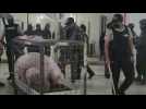 Police find two pigs in Ecuador prison
