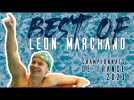 BEST OF - Léon Marchand aux championnats de France 2023