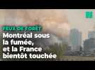 La fumée des incendies du Canada atteint la France et fait suffoquer Montréal