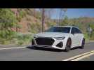 Audi RS 6 Avant performance in Dew silver matt Driving Video