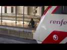Transport ferroviaire : l'espagnol Renfe va débarquer en France mi-juillet