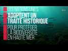 Les Nations unies adoptent un traité historique pour protéger la biodiversité en haute mer