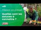 Les astuces pour entretenir son potager