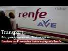 Transport: Prix, gares desservies... Tout savoir sur l'arrivée en France des trains espagnols Renfe