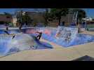 Skate