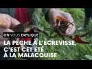 La pêche à l'écrevisse, c'est cet été à la Malacquise