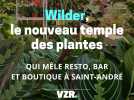 Wilder, le nouveau temple des plantes de Saint-André qui mêle resto et boutique