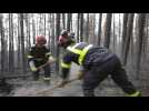 Incendies au Canada: la sécurité civile française à l'oeuvre pour éviter les reprises de feu