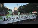 Brazil: Hundreds march for marijuana legalization in Sao Paulo