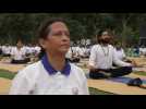 Les Indiens participent à la Journée internationale du yoga à Delhi