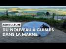 Inauguration de l'Art'aire des Varociens à Cuiles