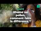 Rhume ou allergie au pollen ? Pourquoi vous toussez et éternuez