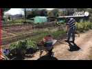 VIDÉO. À Quimper, les jardins familiaux du Braden à découvrir lors des 48 heures de l'agriculture urbaine