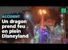 En plein spectacle, un dragon prend feu à Disneyland