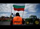 Céréales ukrainiennes : pourquoi les agriculteurs d'Europe de l'Est sont-ils en colère ?