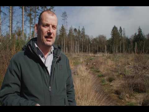 Netherlands: Dutch farmers protest against nitrogen plan