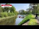 VIDÉO. Pollution de la Mayenne près d'Angers : des barrages flottants installés par les pompiers