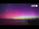 VIDÉO. Nouvelle-Zélande : de somptueuses aurores boréales ont illuminé le ciel
