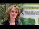 Emmanuelle Petit, du service biodiversité de la Ville, présente le Sentier des sens