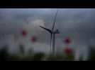 Haussy - Saulzoir : quatre questions autour du projet d'implantation de deux éoliennes