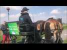 Cobrieux : les pistes cyclables nettoyées par des chevaux