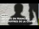 Inceste en France : les chiffres de la commission