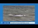 7 minutes #326 «Chez vous» (20 avril 2023). Une baleine échouée à Saint-Valery-en-Caux