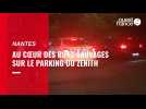 VIDEO. Runs sauvages à Saint-Herblain
