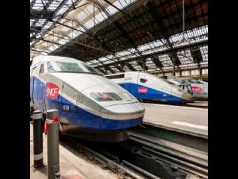 VIDEO : SNCF : la compagnie ferroviaire franaise condamne pour avoir cras le chat Neko