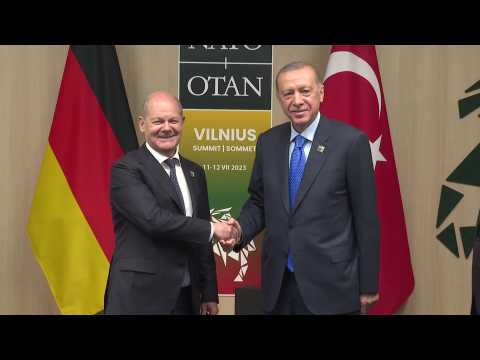 German Chancellor Scholz meets with Turkish President Erdogan in Vilnius