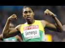 Hyperandrogénie : l'athlète Caster Semenya victime de discrimination