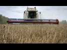 Céréales : Kyiv veut maintenir ses exportations sans la Russie