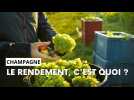 Champagne : le rendement, c'est quoi ?