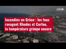 VIDÉO. Incendies en Grèce : les feux ravagent Rhodes et Corfou, la température grimpe encore