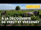 A la découverte de Verzy et Verzenay