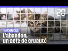 Pourquoi on a le droit d'abandonner ses animaux de compagnie en France ?